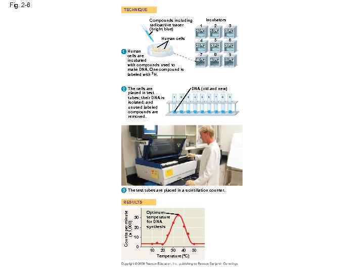 TECHNIQUE Incubators Compounds including radioactive tracer 3 1 2 (bright blue) 10°C 15°C 20°C