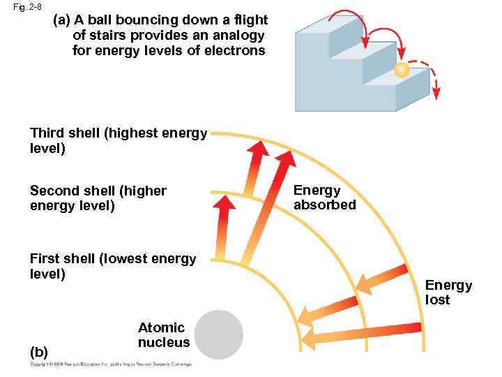 Fig. 2 -8 (a) A ball bouncing down a flight of stairs provides an