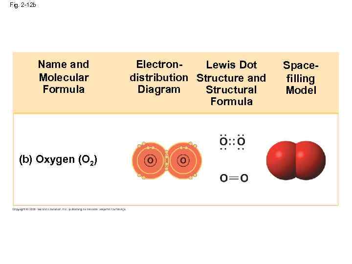 Fig. 2 -12 b Name and Molecular Formula (b) Oxygen (O 2) Electron. Lewis
