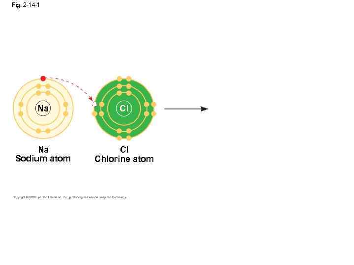 Fig. 2 -14 -1 Na Cl Na Sodium atom Cl Chlorine atom 