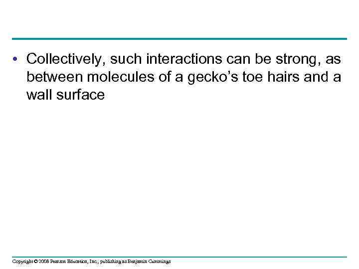  • Collectively, such interactions can be strong, as between molecules of a gecko’s