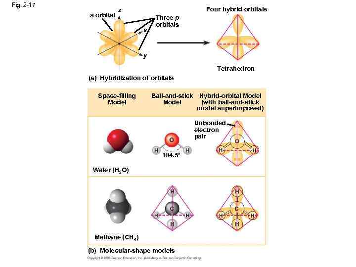 Fig. 2 -17 s orbital Four hybrid orbitals z x Three p orbitals y