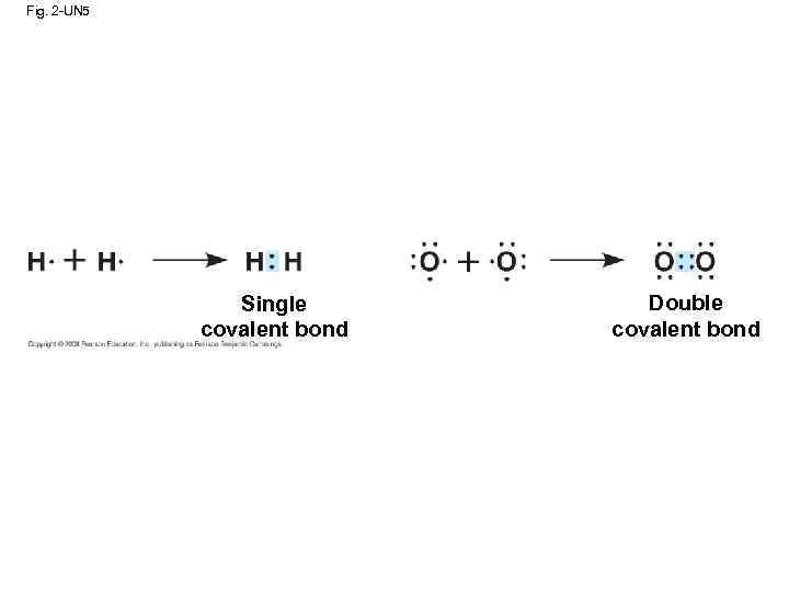 Fig. 2 -UN 5 Single covalent bond Double covalent bond 