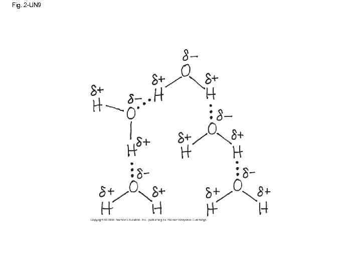 Fig. 2 -UN 9 