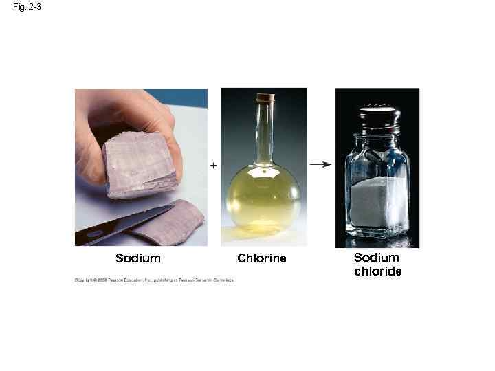 Fig. 2 -3 Sodium Chlorine Sodium chloride 