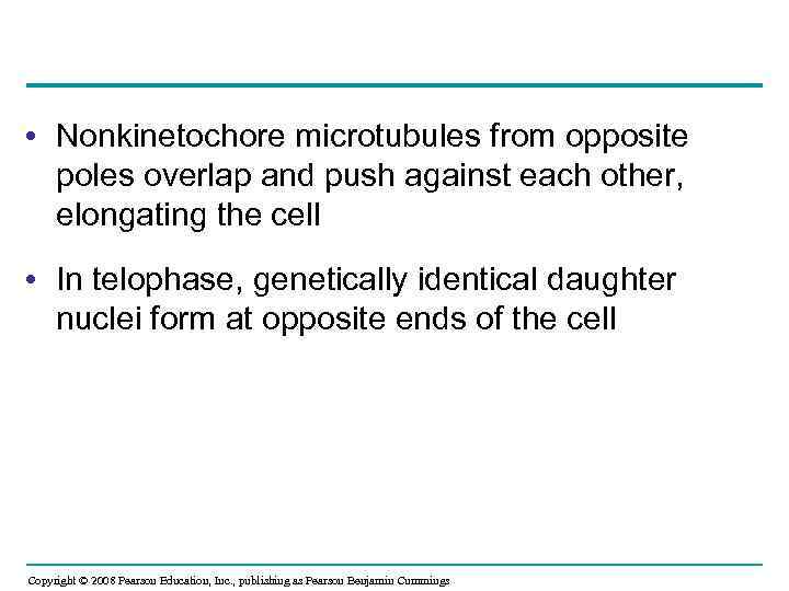  • Nonkinetochore microtubules from opposite poles overlap and push against each other, elongating