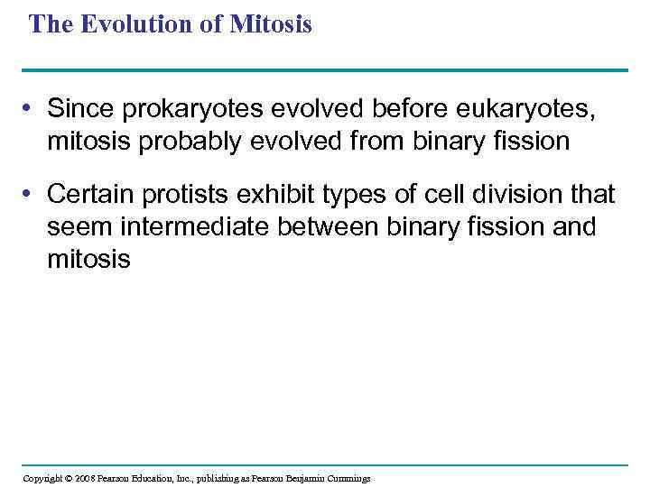 The Evolution of Mitosis • Since prokaryotes evolved before eukaryotes, mitosis probably evolved from