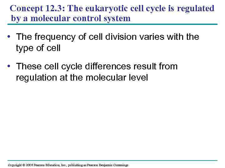 Concept 12. 3: The eukaryotic cell cycle is regulated by a molecular control system