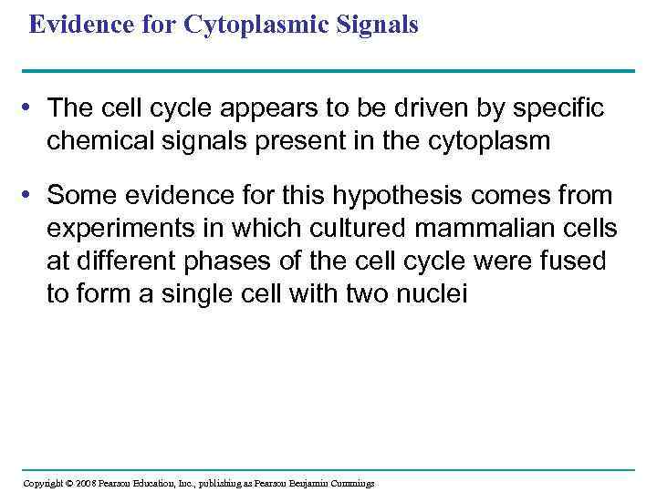 Evidence for Cytoplasmic Signals • The cell cycle appears to be driven by specific