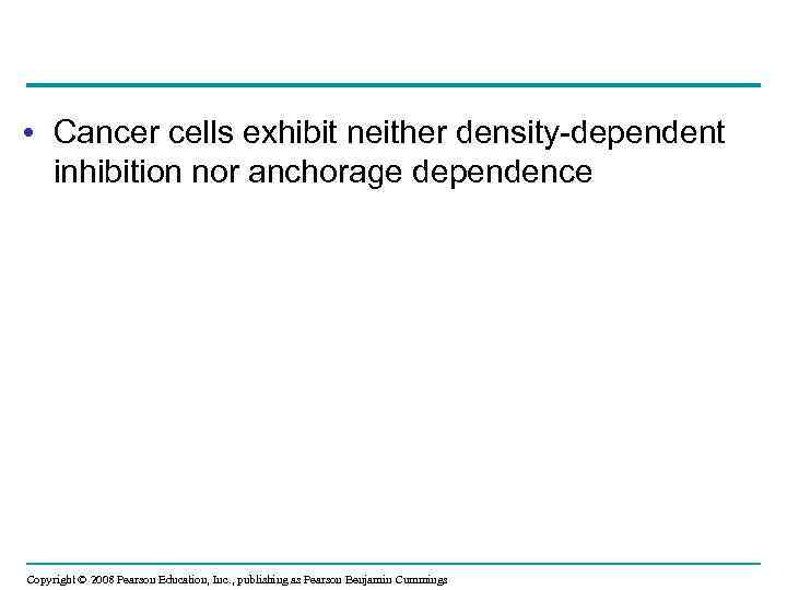  • Cancer cells exhibit neither density-dependent inhibition nor anchorage dependence Copyright © 2008