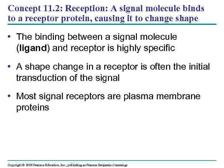 Concept 11. 2: Reception: A signal molecule binds to a receptor protein, causing it