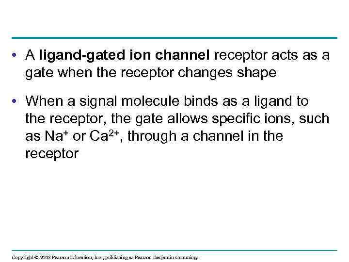 • A ligand-gated ion channel receptor acts as a gate when the receptor