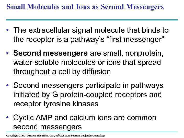 Small Molecules and Ions as Second Messengers • The extracellular signal molecule that binds