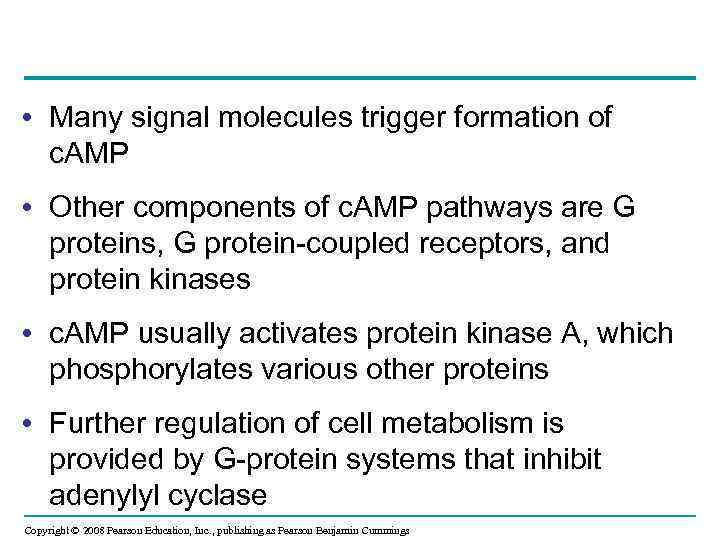  • Many signal molecules trigger formation of c. AMP • Other components of