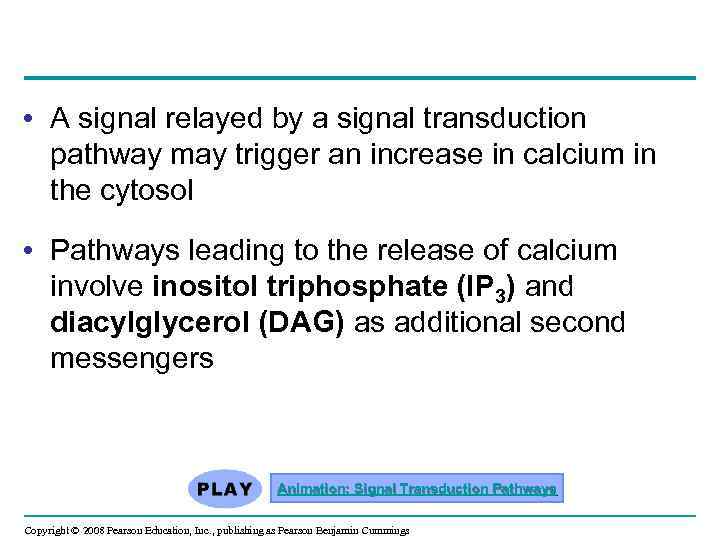 • A signal relayed by a signal transduction pathway may trigger an increase