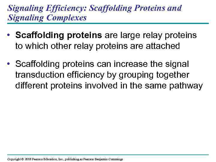 Signaling Efficiency: Scaffolding Proteins and Signaling Complexes • Scaffolding proteins are large relay proteins