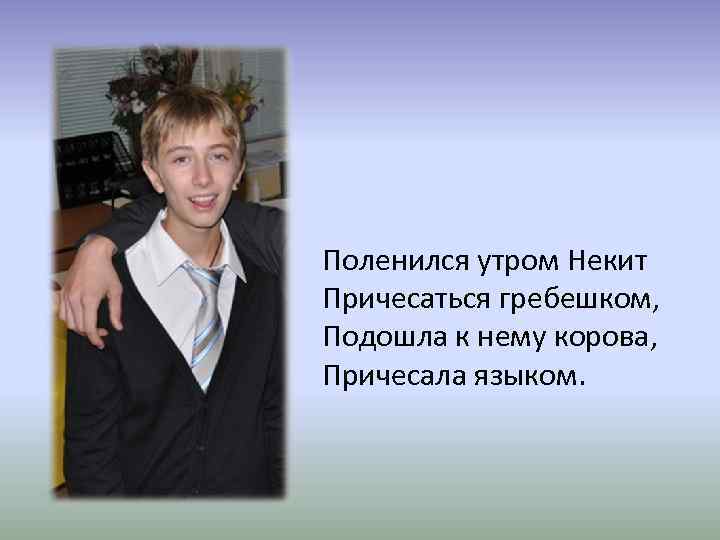 Поленился утром Некит Причесаться гребешком, Подошла к нему корова, Причесала языком. 