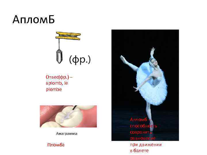Аплом. Б Отвес(фр. ) – aplomb, le plombe Пломба Апломб – способность сохранять равновесие