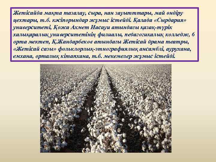 Жетісайда мақта тазалау, сыра, нан зауытттары, май өндіру цехтары, т. б. кәсіпорындар жұмыс істейді.