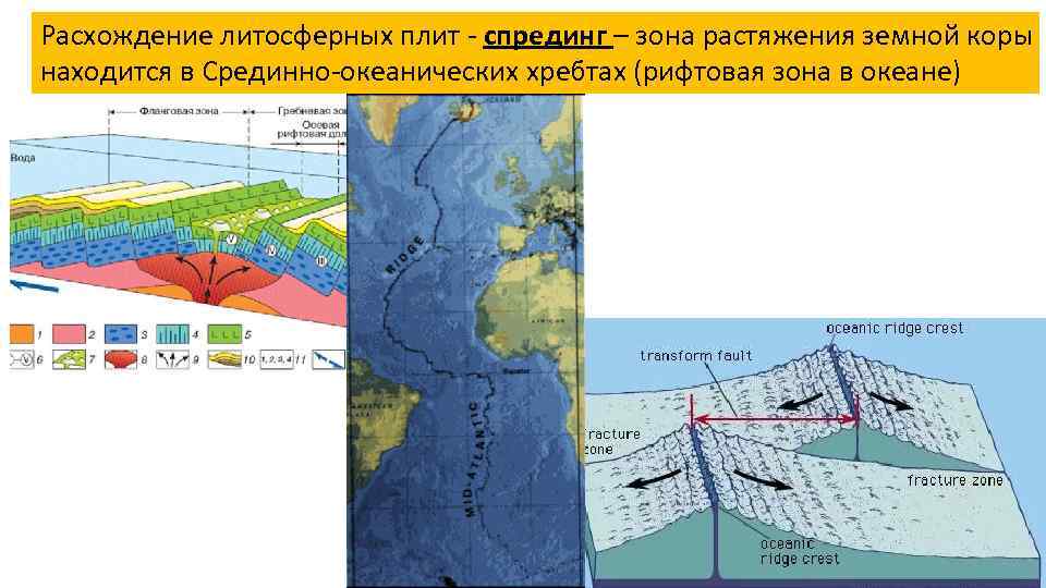 Литосферные плиты океанов. Зоны спрединга литосферных плит. Зона растяжения земной коры. Океанические рифтовые зоны. Расхождение плит земной коры.