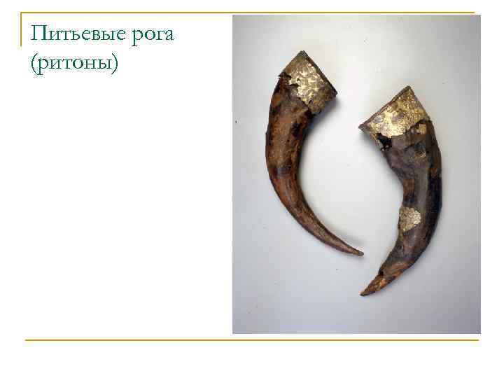 Питьевые рога (ритоны) 