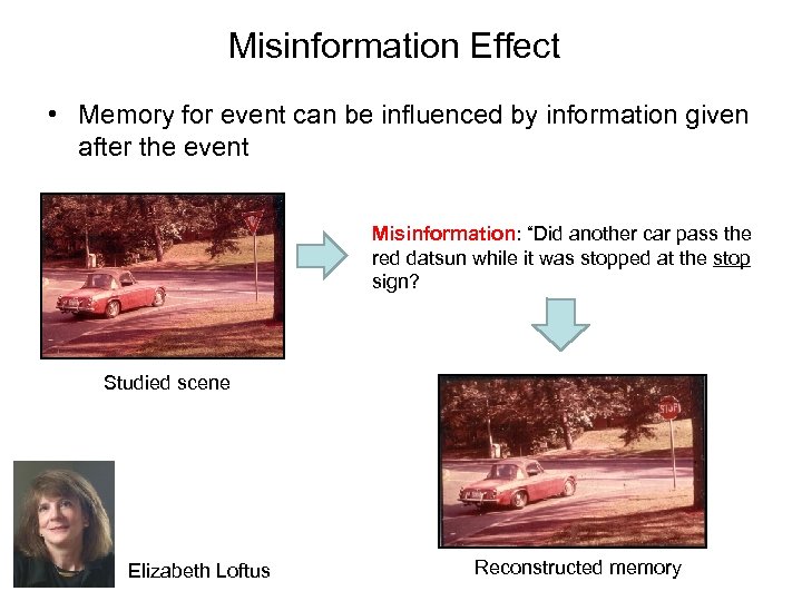 Misinformation Effect • Memory for event can be influenced by information given after the