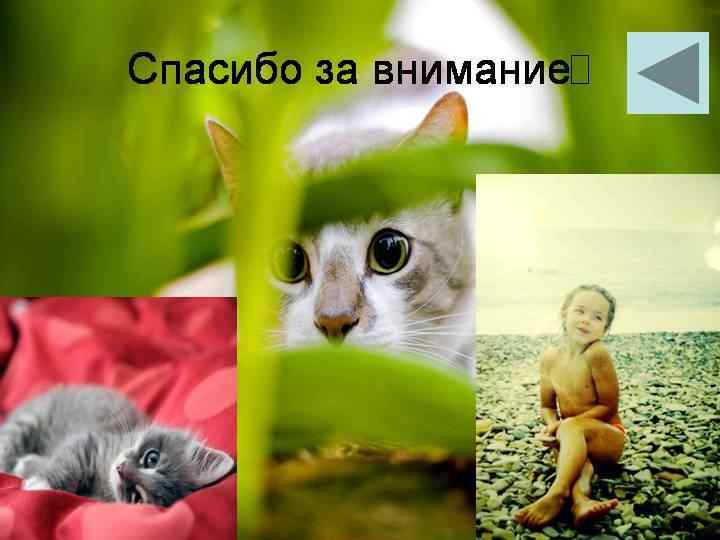 Дети – это завтрашние судьи наши!!! 