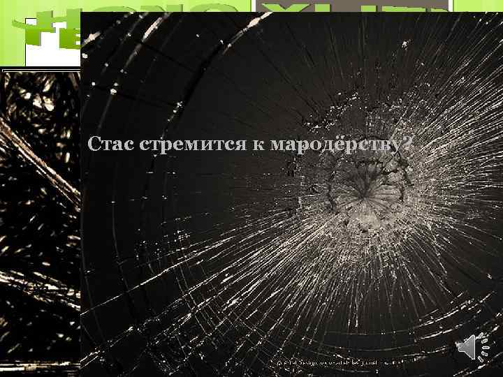 Теория разбитых окон — теория, сформулированная Джеймсом Уилсоном (англ. ) и Джорджем Стас стремится