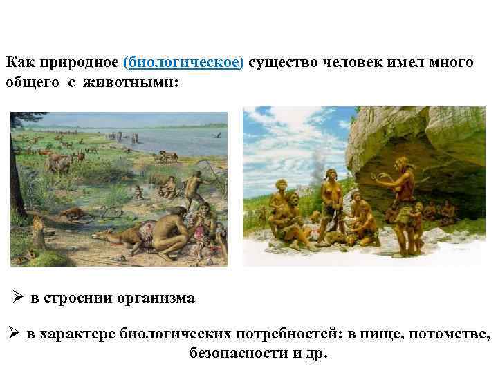 Как природное (биологическое) существо человек имел много общего с животными: Ø в строении организма