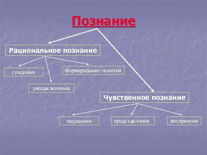 Познание Рациональное познание суждения Формирование понятий умозаключения Чувственное познание ощущения представления восприятия 
