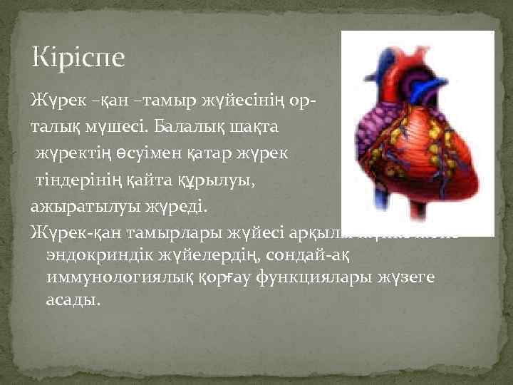 Кіріспе Жүрек –қан –тамыр жүйесінің орталық мүшесі. Балалық шақта жүректің өсуімен қатар жүрек тіндерінің