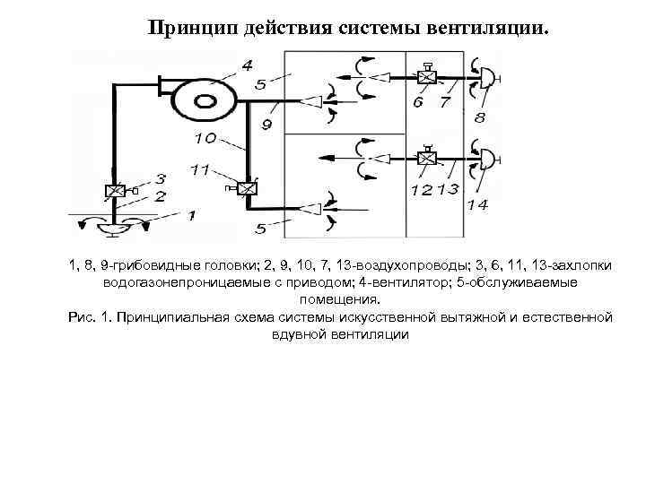 Принцип действия системы. Вентиляционная система судна схема. Принципиальная схема системы вентиляции на судне. Принцип действия системы вентиляции на судне. Принцип действия системы вентиляции.