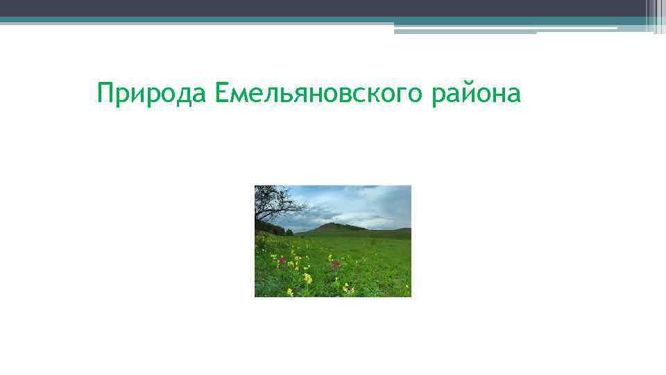 Природа Емельяновского района 