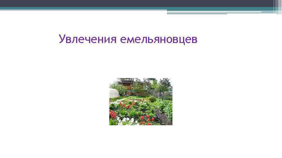 Увлечения емельяновцев 