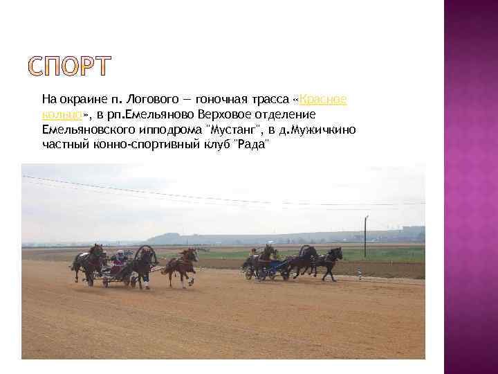 На окраине п. Логового — гоночная трасса «Красное кольцо» , в рп. Емельяново Верховое