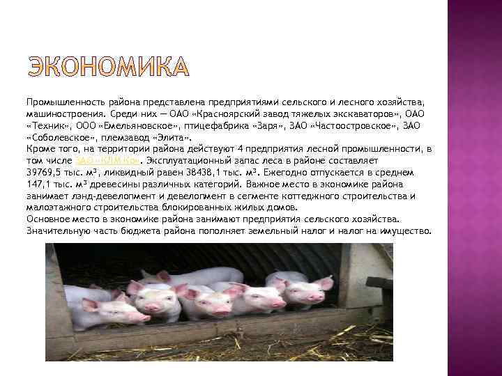 Промышленность района представлена предприятиями сельского и лесного хозяйства, машиностроения. Среди них — ОАО «Красноярский