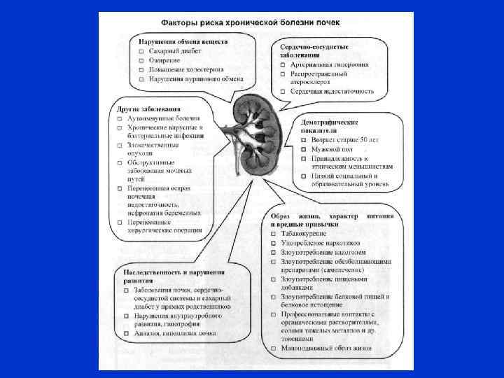 Факторы риска заболеваний почек. Факторы влияющие на заболевание почек. Факторы риска развития заболеваний почек в раннем возрасте. Факторы влияющие на функции почек.