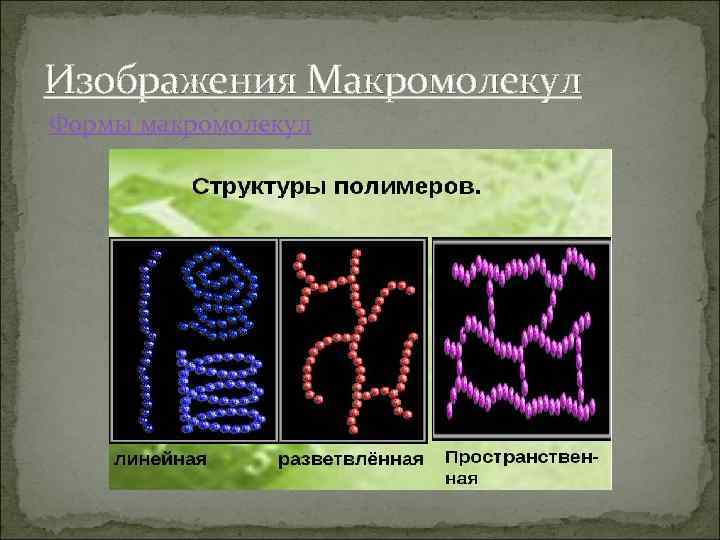 Изображения Макромолекул Формы макромолекул 