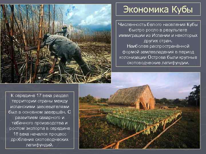 Экономика Кубы Численность белого населения Кубы быстро росло в результате иммиграции из Испании и