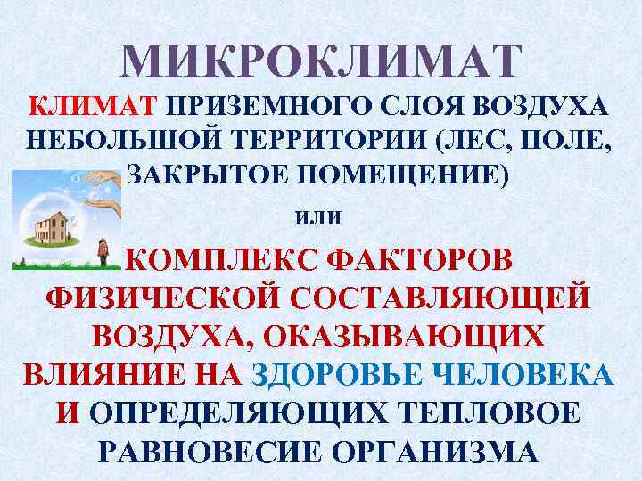 МИКРОКЛИМАТ ПРИЗЕМНОГО СЛОЯ ВОЗДУХА НЕБОЛЬШОЙ ТЕРРИТОРИИ (ЛЕС, ПОЛЕ, ЗАКРЫТОЕ ПОМЕЩЕНИЕ) или КОМПЛЕКС ФАКТОРОВ ФИЗИЧЕСКОЙ