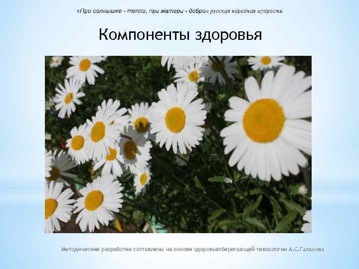 Компоненты здоровья Методические разработки составлены на основе здоровьесберегающей технологии А. С. Галанова 
