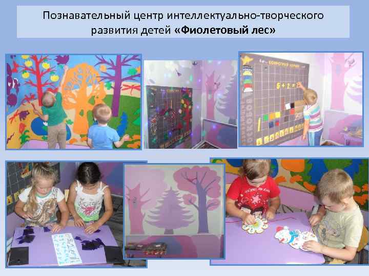 Познавательный центр интеллектуально-творческого развития детей «Фиолетовый лес» 