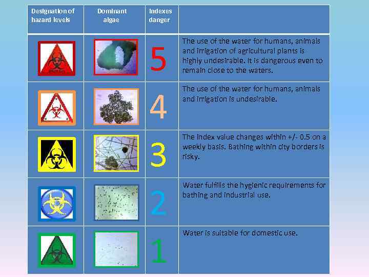 Designation of hazard levels Dominant algae Indexes danger 5 4 3 2 1 The