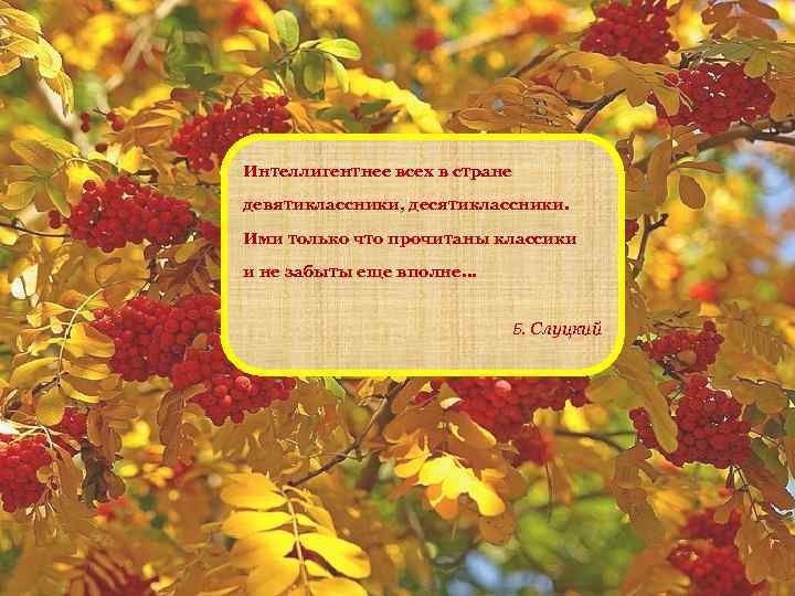 Интеллигентнее всех в стране девятиклассники, десятиклассники. Ими только что прочитаны классики и не забыты