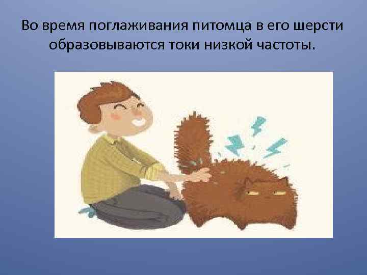 Во время поглаживания питомца в его шерсти образовываются токи низкой частоты. 