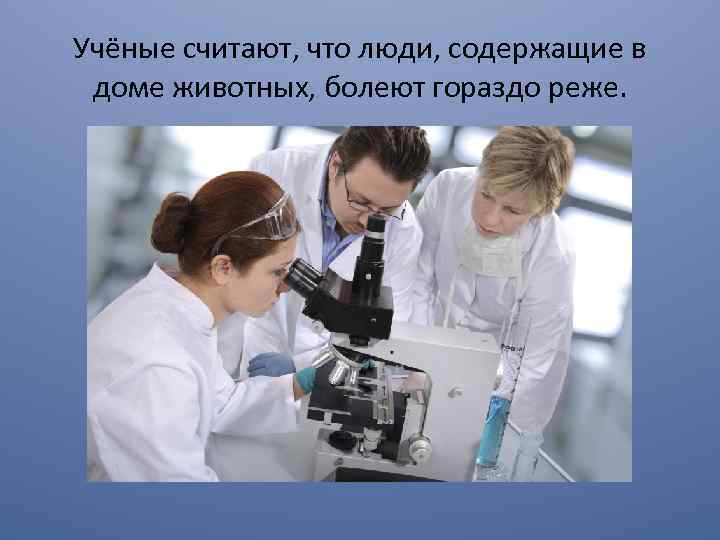 Учёные считают, что люди, содержащие в доме животных, болеют гораздо реже. 