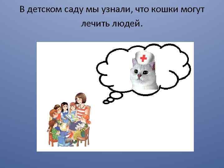 В детском саду мы узнали, что кошки могут лечить людей. 