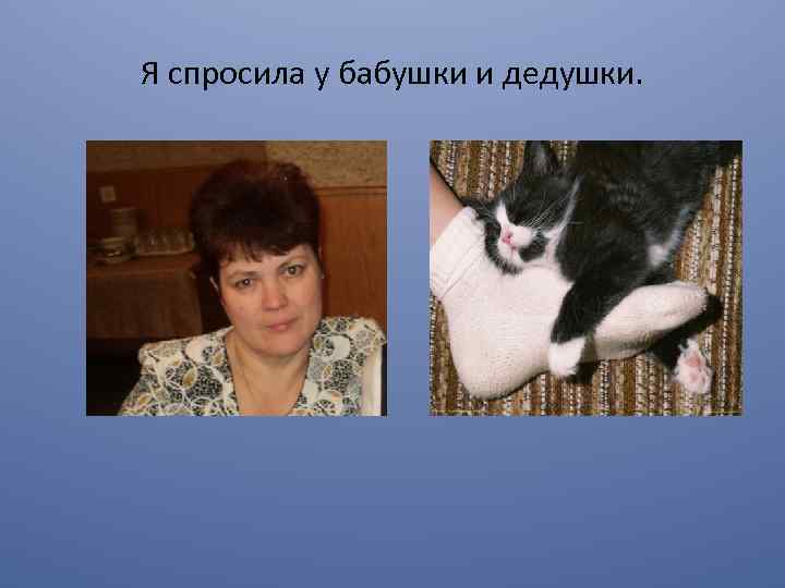 Я спросила у бабушки и дедушки. 