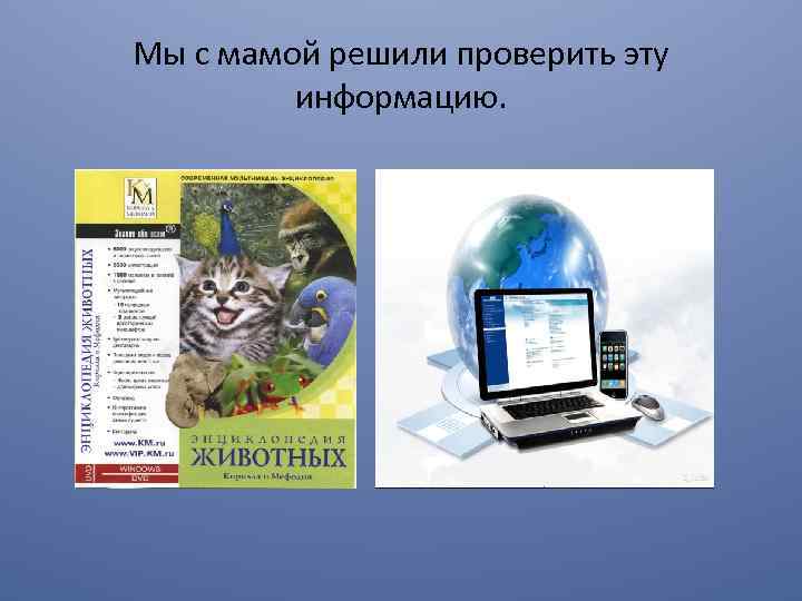 Мы с мамой решили проверить эту информацию. 