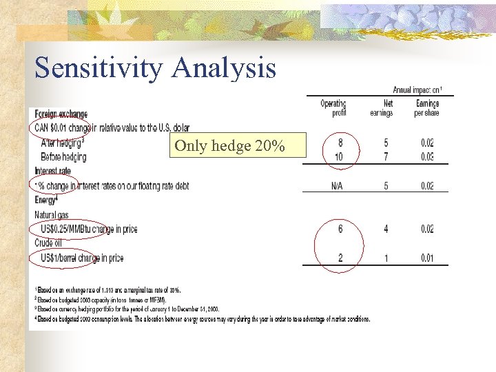Sensitivity Analysis Only hedge 20% 